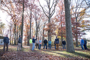Hazardous Tree Identification students standing outside looking up at trees