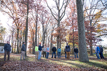 Hazardous Tree Identification students standing outside looking up at trees
