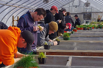 Two Year Golf Turf Management Students take their Turf Identification final exam.