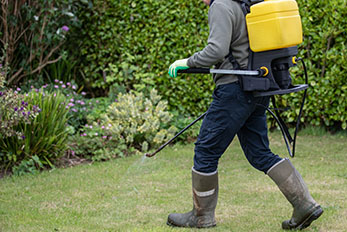 Landscaper applying pesticide on turfgrass