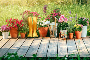 Gardening tools and flowers in the garden