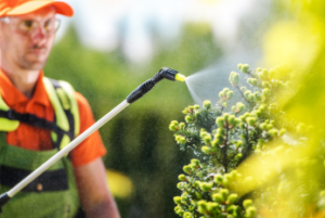 man wearing safety glasses and neon outdoor workwear spraying plant with chemicals