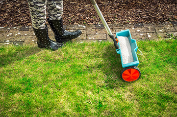 Fertilizer Spreader on Green Lawn